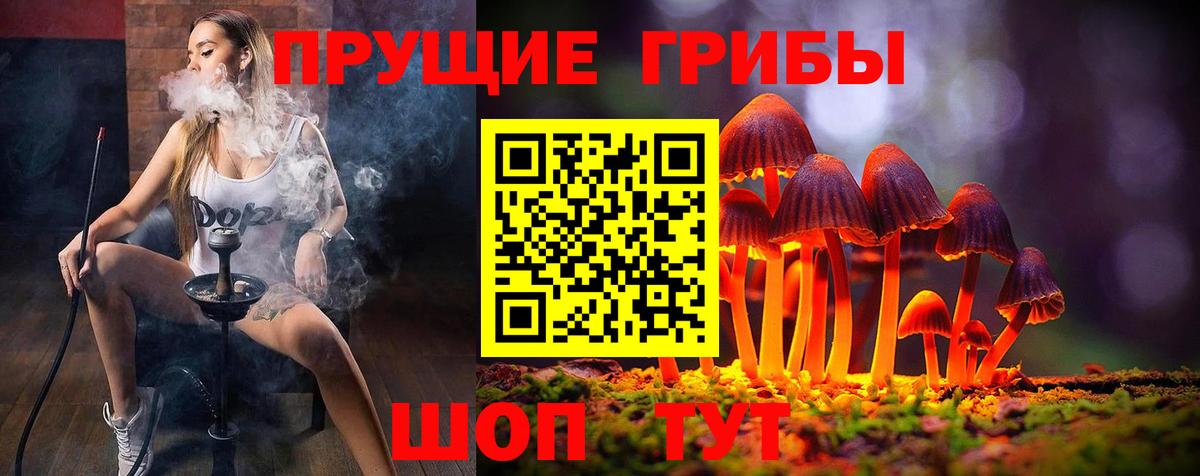 Псилоцибиновые грибы мухоморы  Вход с VPN  наркотики  Канск 